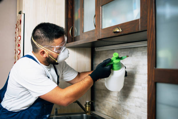 Best Pest Inspection Near Me  in Jacksonville, NC