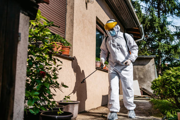 Best Ant Control Services  in Jacksonville, NC