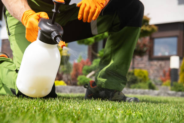 Best Local Pest Control Services  in Jacksonville, NC