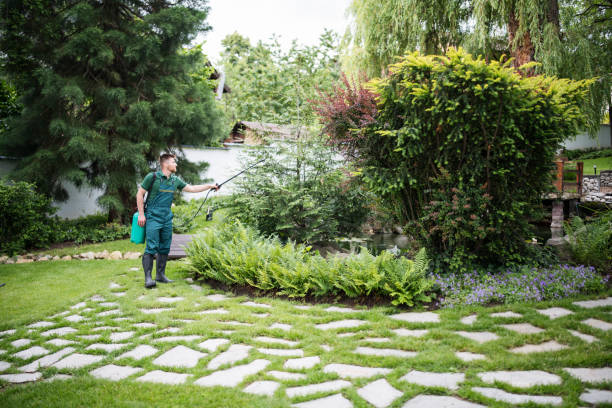 Best Ant Control Services  in Jacksonville, NC