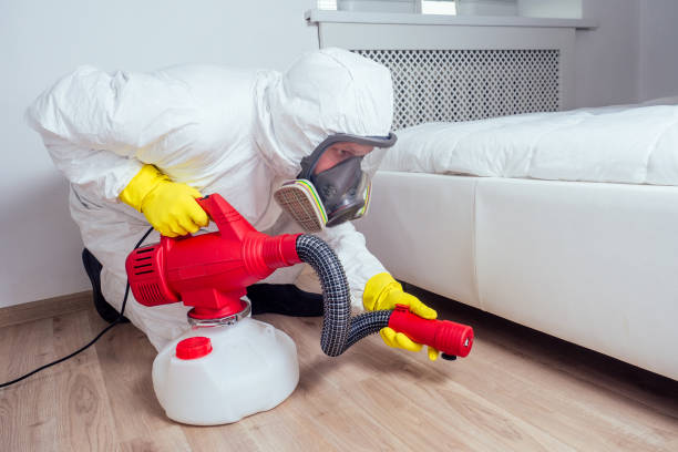 Best Best Pest Control Companies  in Jacksonville, NC