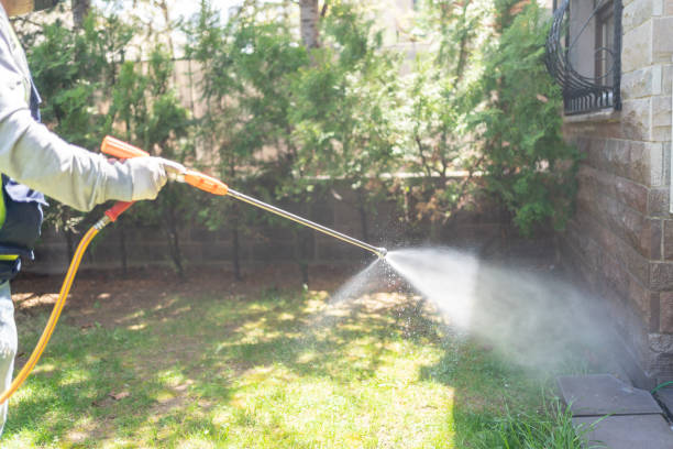 Best Flea Control Services  in Jacksonville, NC