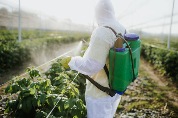 Best Pest Control for Homes  in Jacksonville, NC
